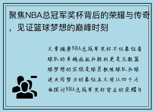 聚焦NBA总冠军奖杯背后的荣耀与传奇，见证篮球梦想的巅峰时刻